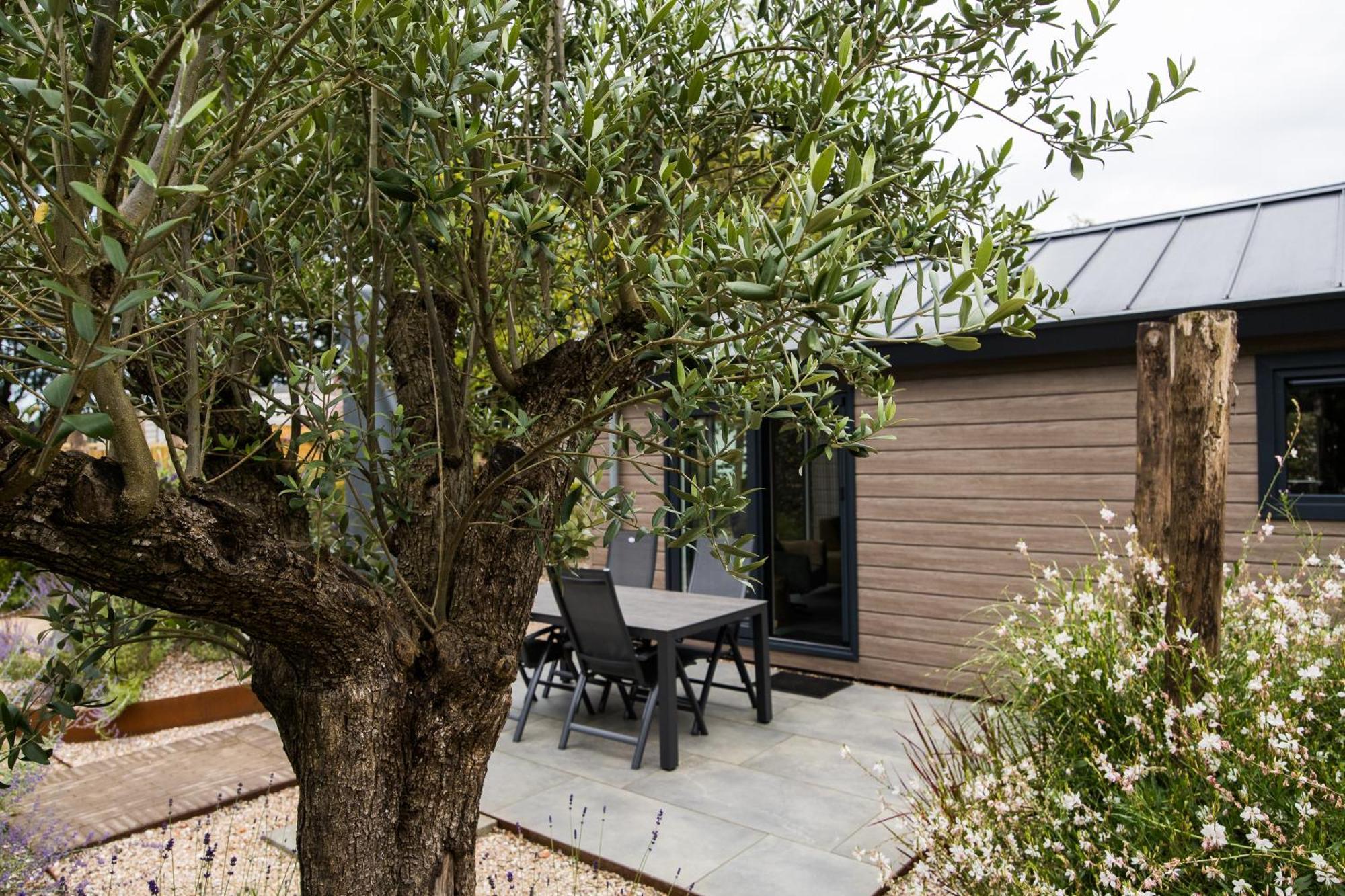 Modern Ingericht Chalet Op Groen Park Op De Veluwe Epe Exterior foto