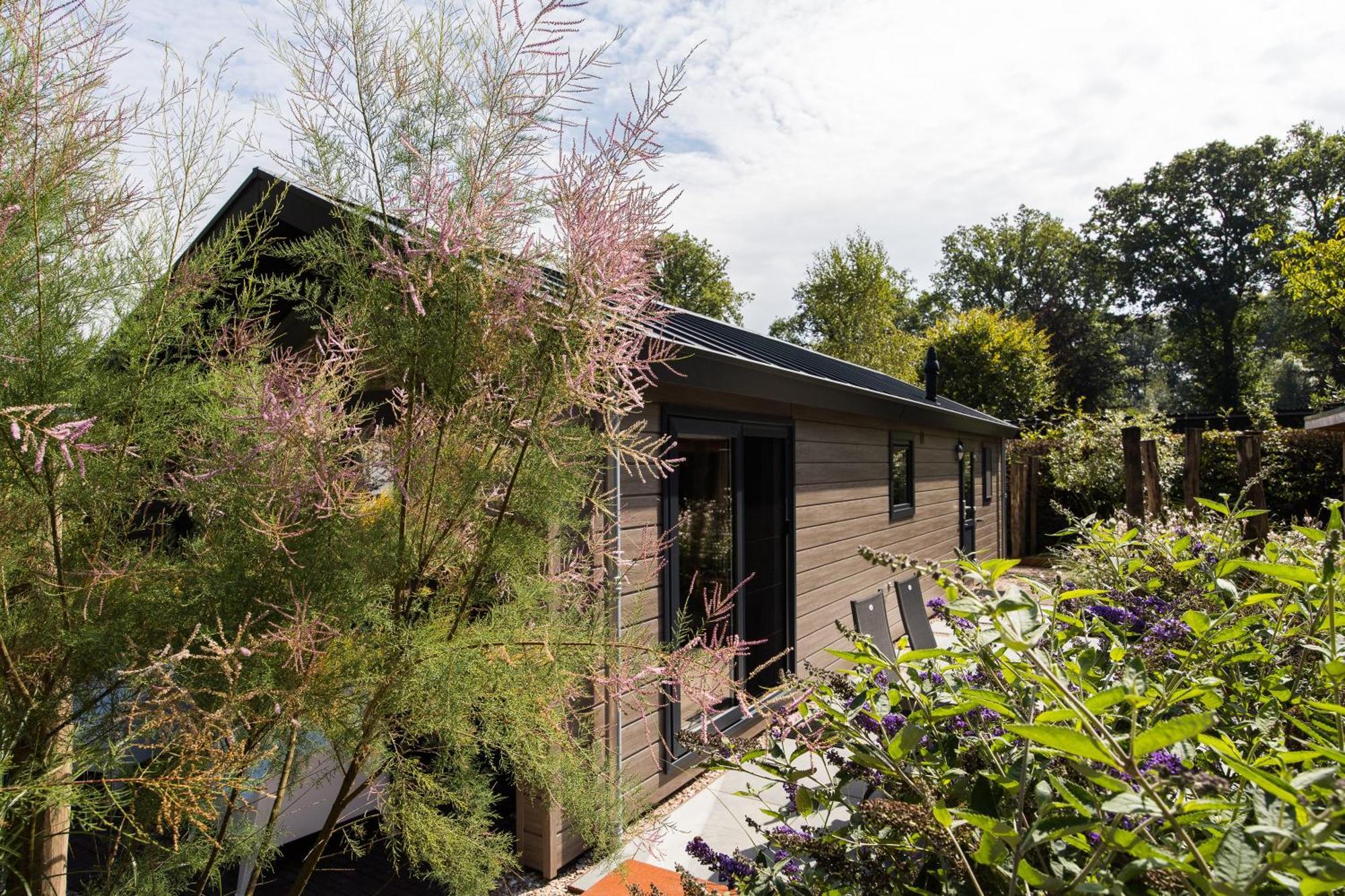 Modern Ingericht Chalet Op Groen Park Op De Veluwe Epe Exterior foto